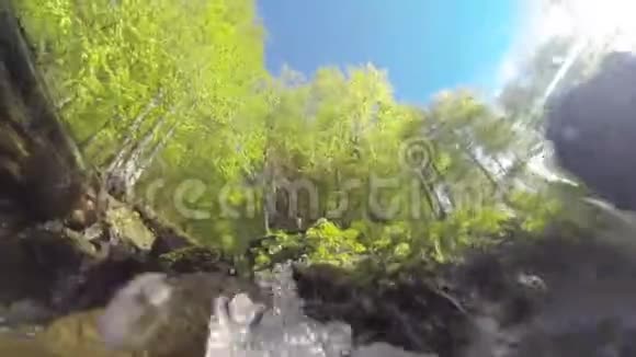 森林里一条干净的小溪把照相机淹没在水里视频的预览图