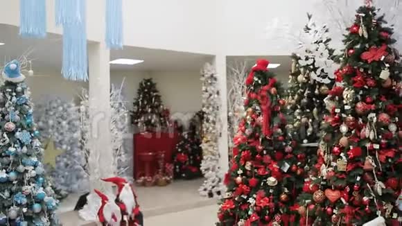 两个女人为圣诞商店的圣诞装饰品选择风景视频的预览图