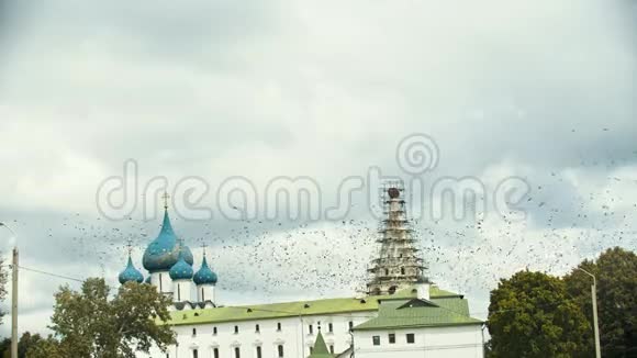 俄罗斯苏兹达尔小村庄的景色大教堂和修复建筑鸟儿在建筑物上方飞翔视频的预览图