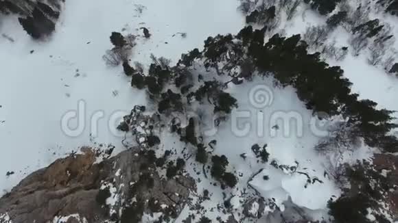 山林地区降雪全景视频的预览图