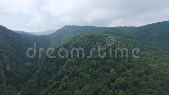 空中观景山顶长满了树向前迈进视频的预览图
