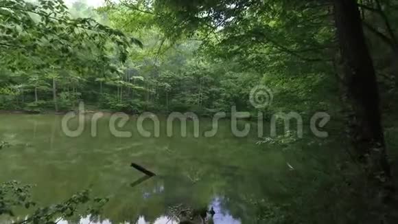 野生森林中神秘的湖泊无人驾驶飞机飞过水面视频的预览图