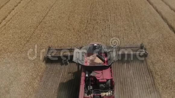 从联合收割机上方的高处看里面有许多小麦作物视频的预览图