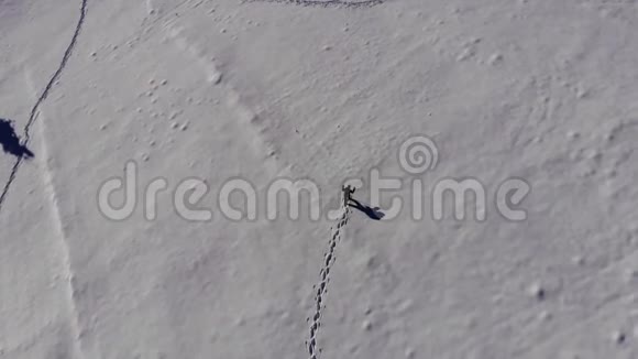一个孤独的游客走过山林中的雪冬天白雪皑皑的森林里的旅行者带着一只鸟眼睛视频的预览图