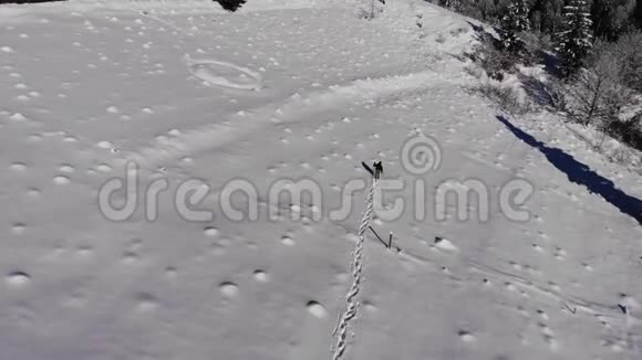 一个孤独的游客走过山林中的雪冬天白雪皑皑的森林里的旅行者带着一只鸟眼睛视频的预览图