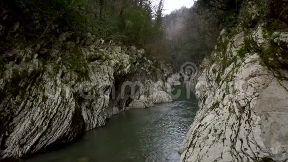 峡谷魔鬼大门在索契俄罗斯红豆杉林山河视频的预览图