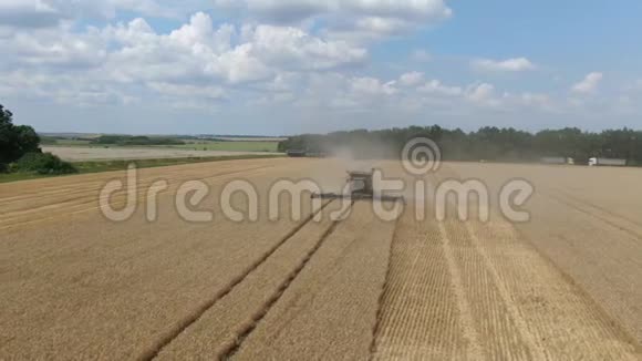 被灰尘包围的联合收割机正在阳光明媚的日子里耕耘麦田视频的预览图