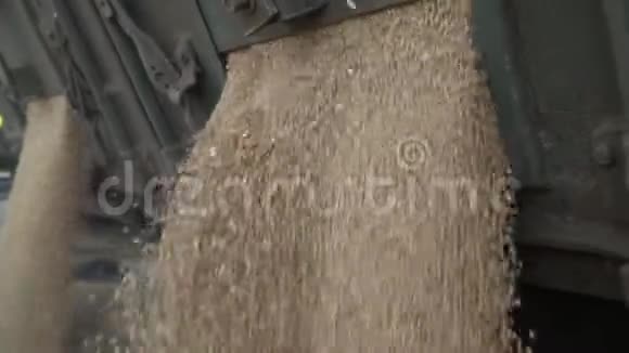 在收割小麦的时候卡车正在收割庄稼视频的预览图