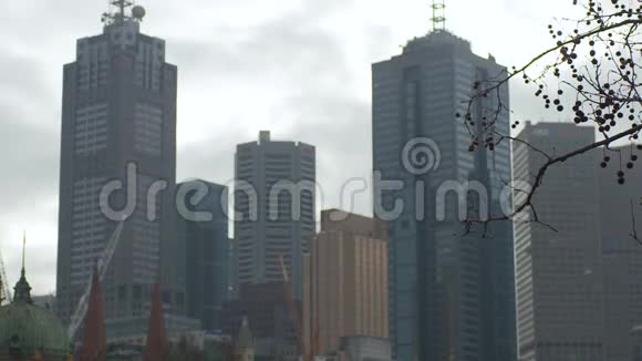 澳大利亚墨尔本摩天大楼的特写视频的预览图
