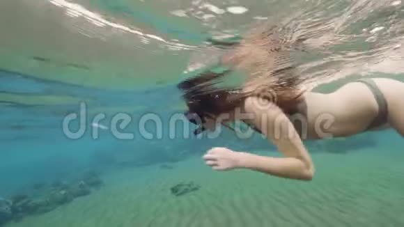 女孩在透明的海水中戴着面具和管子游泳女子浮潜和观看海底珊瑚礁视频的预览图