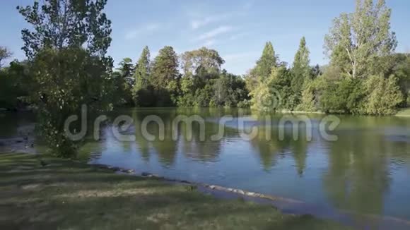 在公共公园里和鸟和池塘一起旅行很愉快视频的预览图