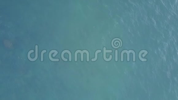 透明的海浪在沙底海藻鸟瞰视频的预览图