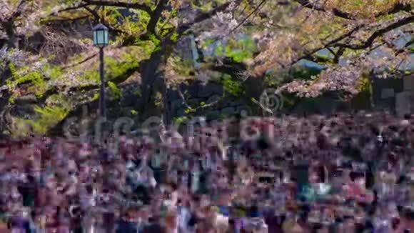 东京九田田街樱花树的人群随着时间的推移在春季的长镜头变焦视频的预览图