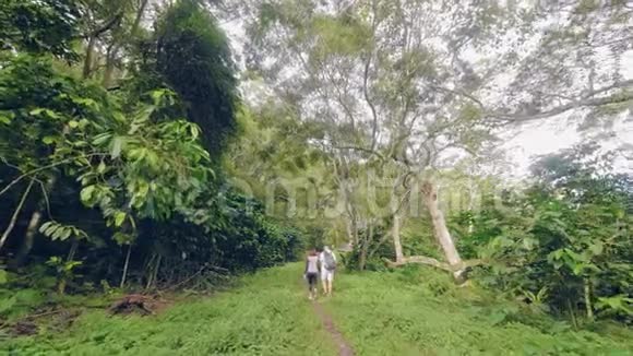 旅游夫妇在热带雨林中散步在绿树和热带植物景观上一男一女走进来视频的预览图