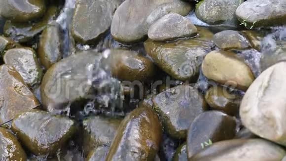 水流穿过小石头视频的预览图