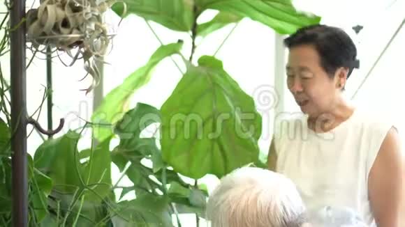 亚洲长者夫妇爱好室内花园绿化视频的预览图