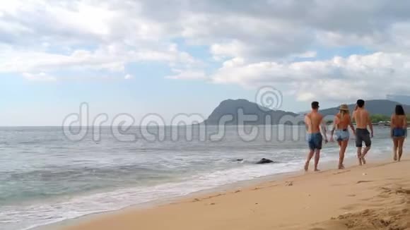 夫妻在海滩上散步4K视频的预览图