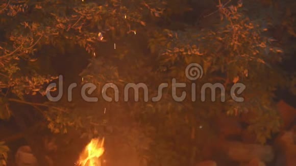 夜晚在树的背脊上燃烧着火焰和火花视频的预览图
