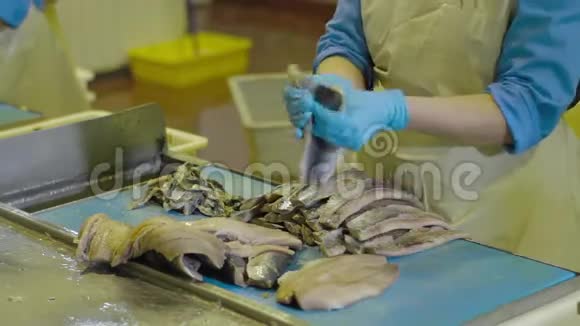 在一家家庭工厂里工人清洗和处理新鲜的海鱼从鱼骨上切下的鱼片视频的预览图
