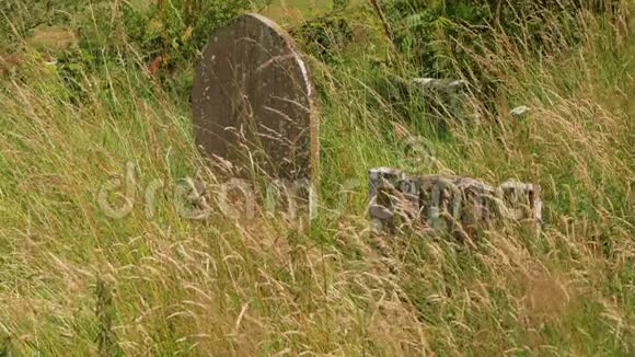 古老的草地墓地有古老的墓碑慢动作视频的预览图