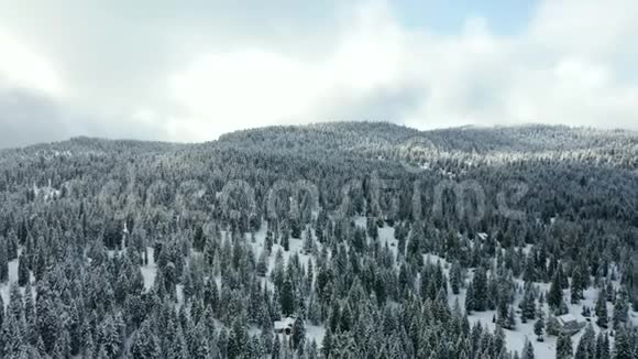 4k空中风景飞越白雪森林向雄伟的山脉飞去视频的预览图
