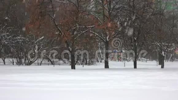 降雪对树视频的预览图