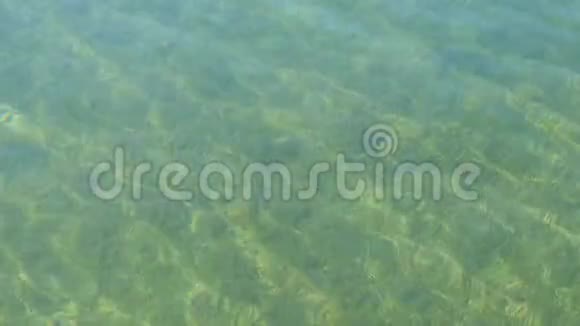 透明的底部有许多绿藻在特格恩湖巴伐利亚有清澈海水的山湖视频的预览图