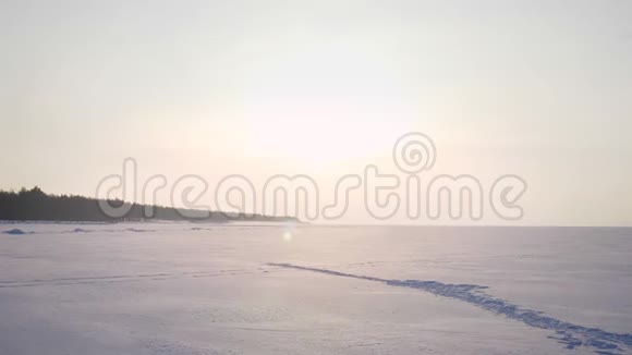 多莉在冰冻的自然背景下在阳光下吹喇叭从一个高加索音乐家的个人资料中放大视频的预览图