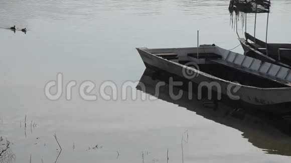 河鸟鸭子在河中游泳在古老的河船的阴影中休息视频的预览图