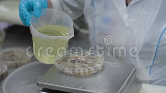 女工用手把塑料罐子里的油倒进一罐鱼蜜饯里工厂的鱼类保护区生产视频的预览图
