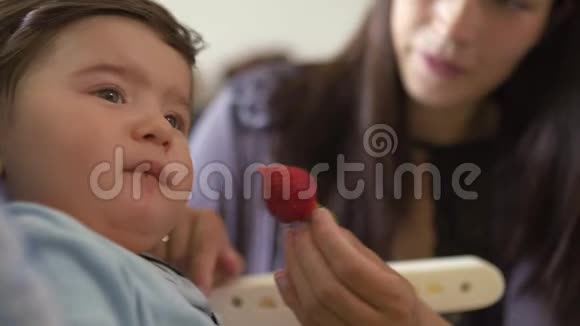 母亲在孩子座位上给她的小儿子喂草莓亚洲混血儿男孩穿着蓝色体恤和视频的预览图