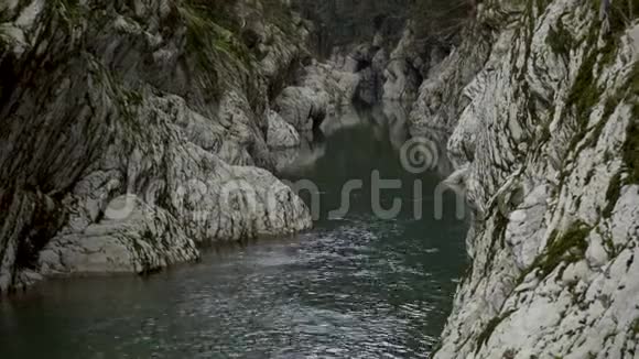 峡谷魔鬼大门在索契俄罗斯红豆杉林山溪视频的预览图