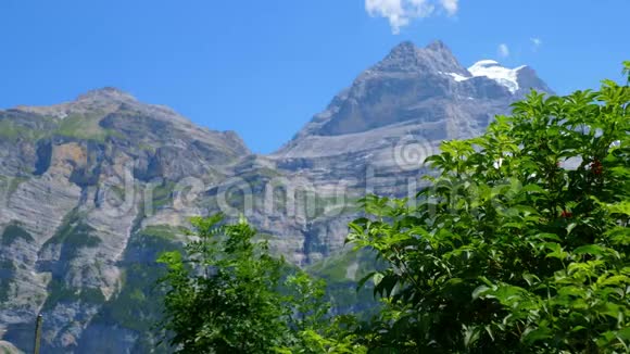 瑞士阿尔卑斯山迷人的景色瑞士阿尔卑斯山瑞士群岛2019年7月20日视频的预览图