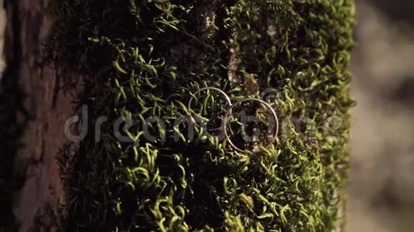 金色的结婚戒指在厚厚的绿色苔藓的背景上视频的预览图