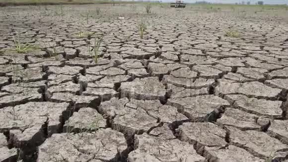 干旱导致的旱地无水视频的预览图