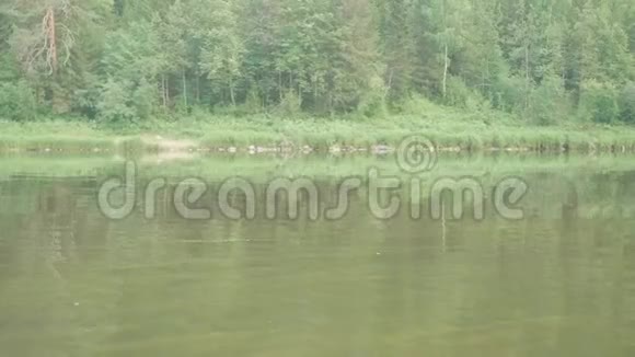 河景及其被森林覆盖的绿色河岸从浮筏上看水面景物的倒影视频的预览图