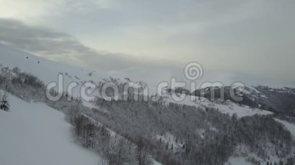 雪天野生动物的美丽鸟瞰覆盖松树的冬山在白雪覆盖的森林中低空飞行视频的预览图
