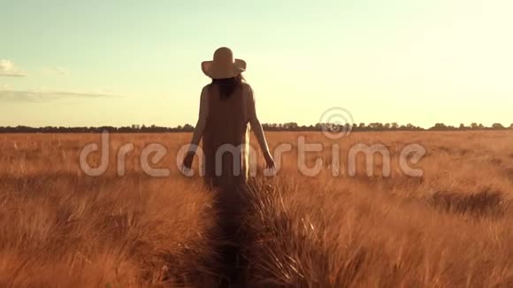 地主带着成熟的小麦走过田野视频的预览图