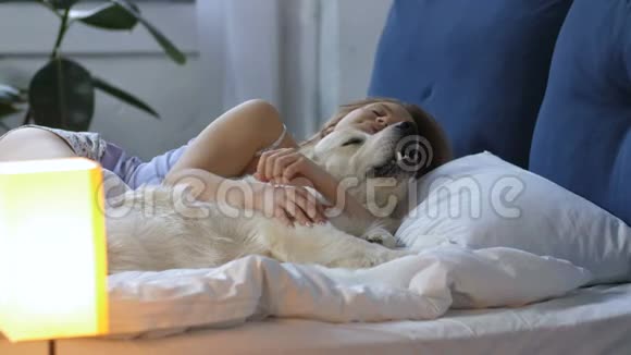 可爱的女人带着拉布拉多犬在床上醒来视频的预览图