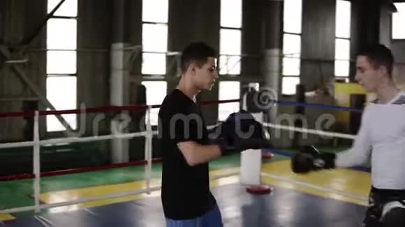 两名拳击手在拳击场上的年轻搭档进行专业的拳击训练练习打击技术架子防守和视频的预览图