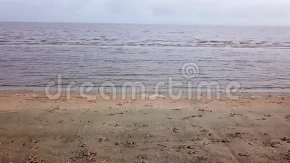 沙滩和海滨的水平移动景观视频的预览图