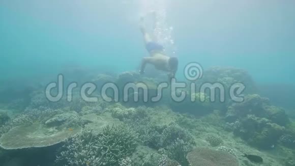 年轻人在美丽的海洋里浮潜在水下看热带鱼和珊瑚礁视频的预览图