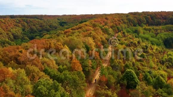 骑自行车的人在秋天靠近森林的路上4K视频的预览图