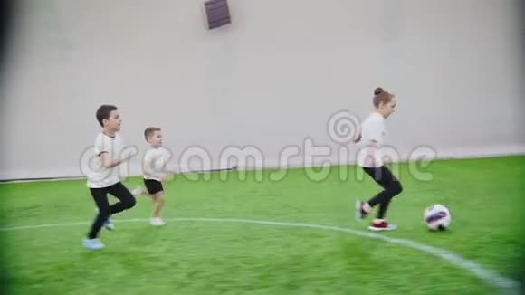 室内足球场孩子们在田野上奔跑一个女孩带球视频的预览图