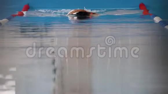 专业游泳者在泳池中爬行视频的预览图