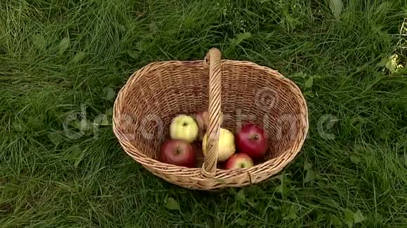 带水果的柳条篮子视频的预览图