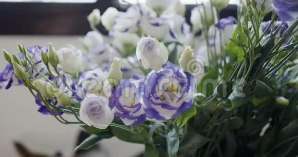 白色和紫色玫瑰作为惊喜礼物视频的预览图