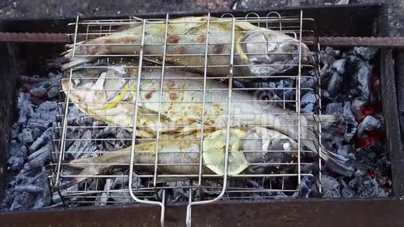 在煤制的鱼与柠檬是烘焙视频的预览图