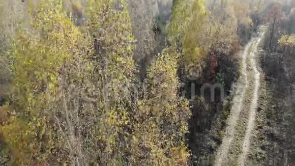 在秋天的黄色森林里在乡间小路旁在树林里飞过黄色空中拍摄视频的预览图