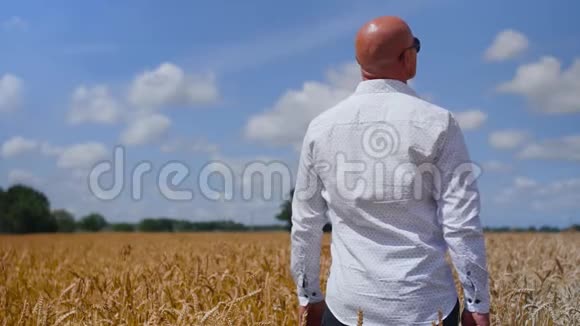 一个人站在背景多云的天空上在麦田里摸着一只麦穗概念生态清洁空气夏季视频的预览图